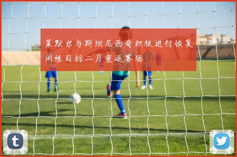 莱默尔与斯坦尼西奇积极进行恢复训练目标二月重返赛场